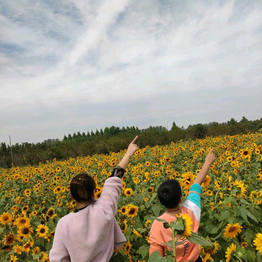 逛遍太康（宝妈同学）