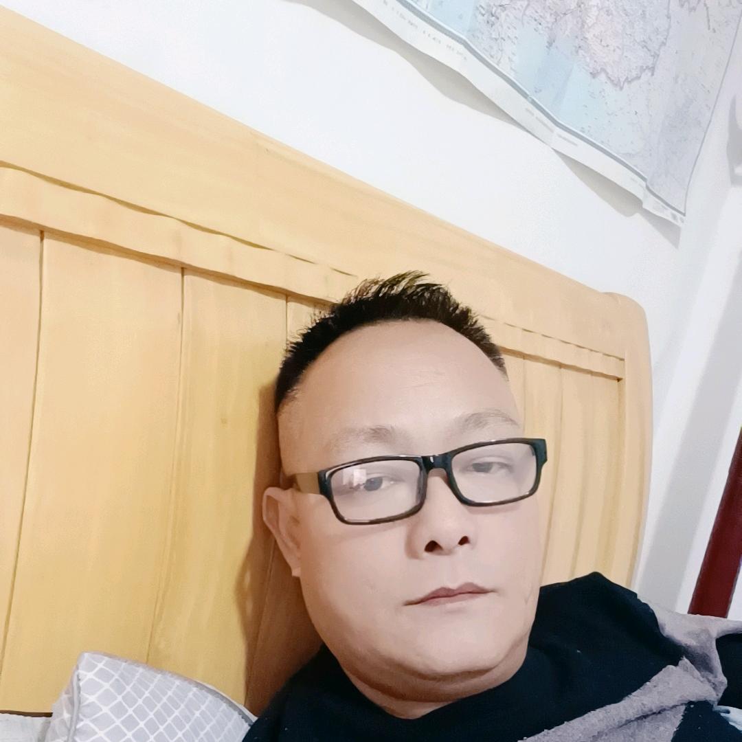 竹影苍龙