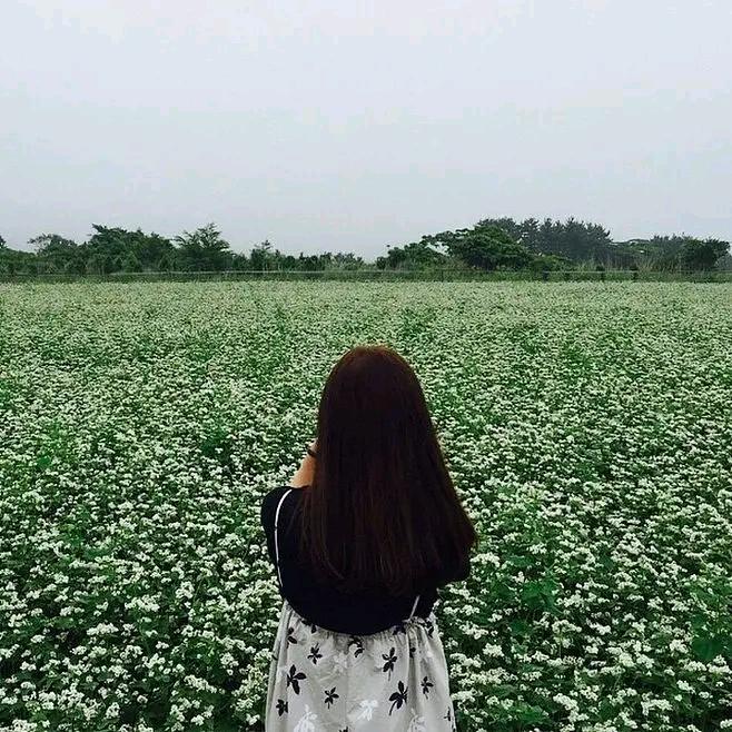 小王优选的头像