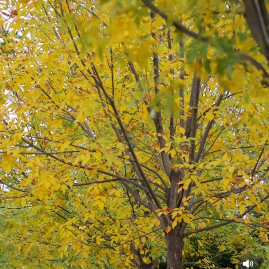 一念之间。。。