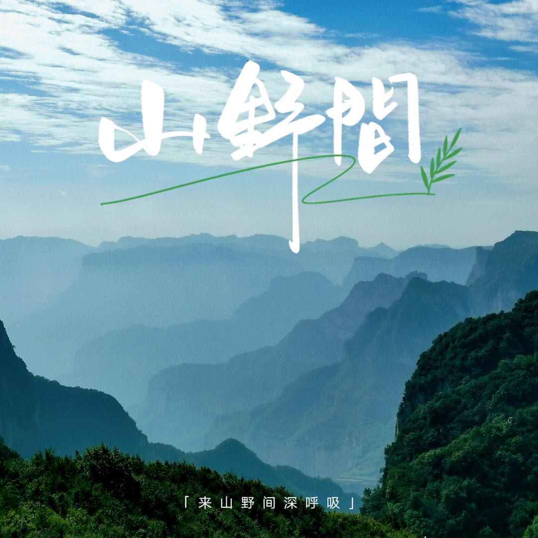 突富奇才刘恩熙头像