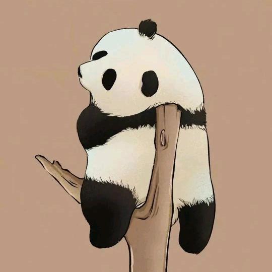 解脱