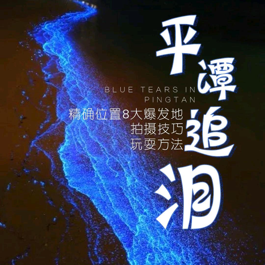 百纪电动车出租