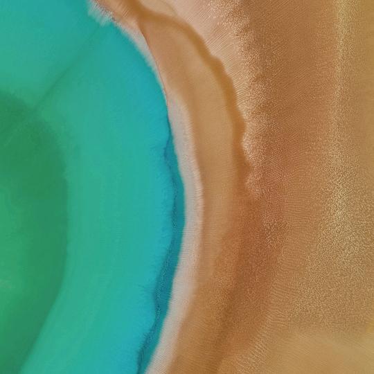 百姓
