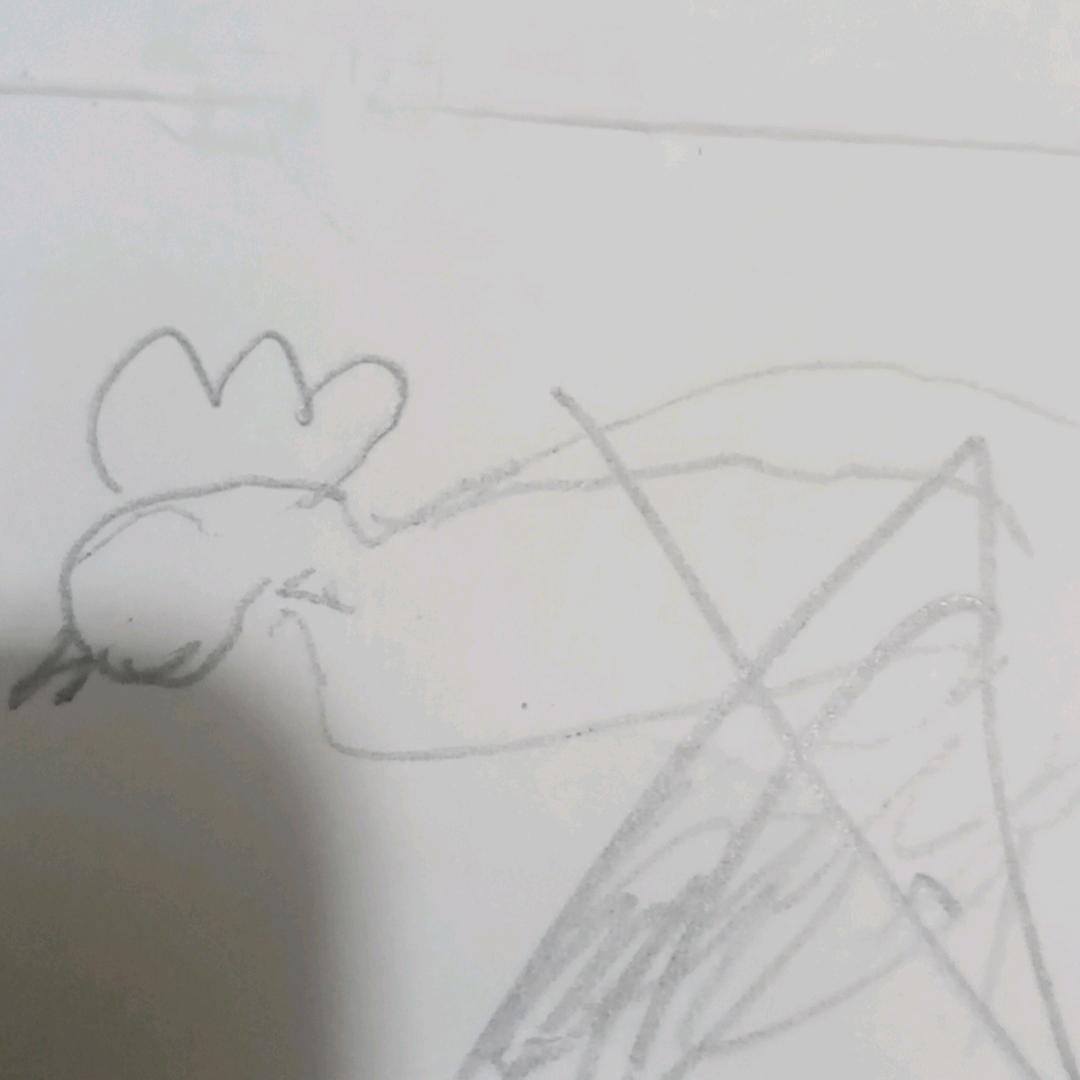 皓翔晨