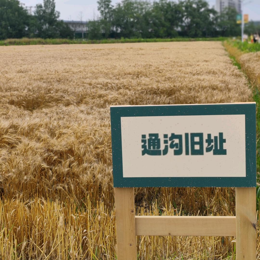 抱一丝啊