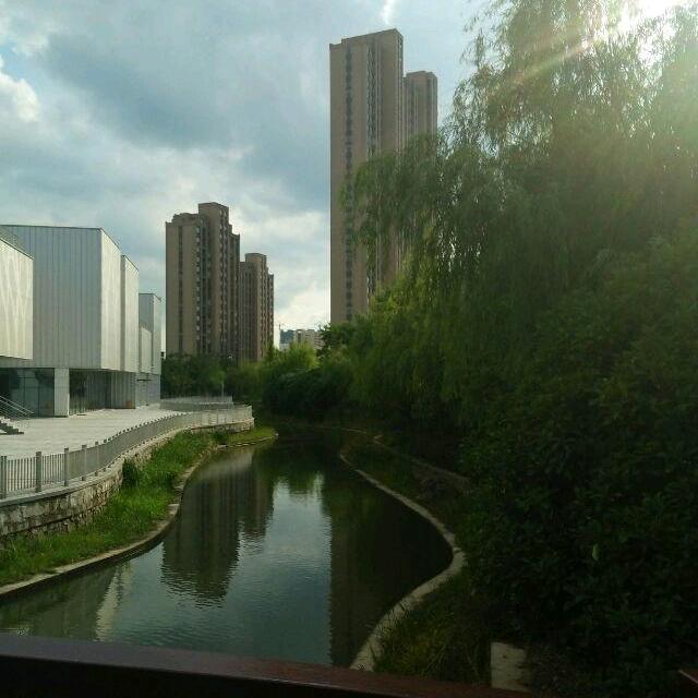 佳华