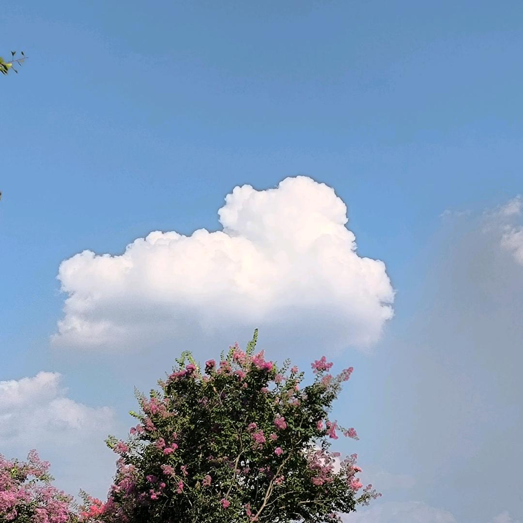 昵称有六个字¹⁰⁴