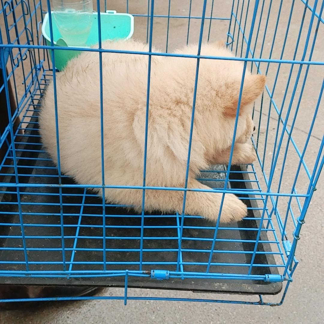 漂泊≠自由