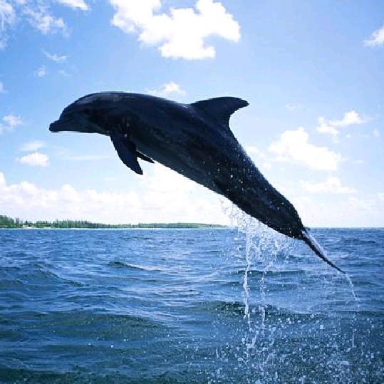 不减30斤不改名