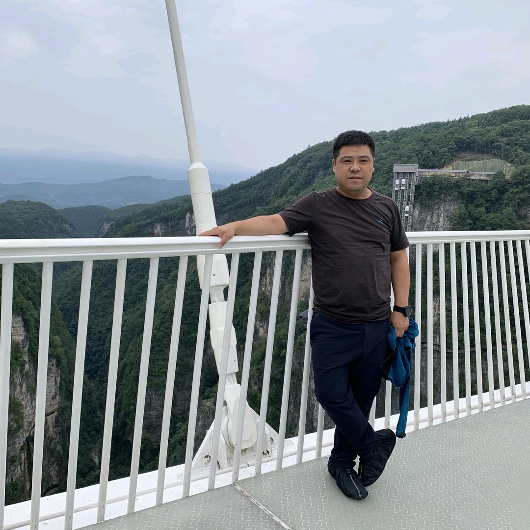 扁嘴鸭