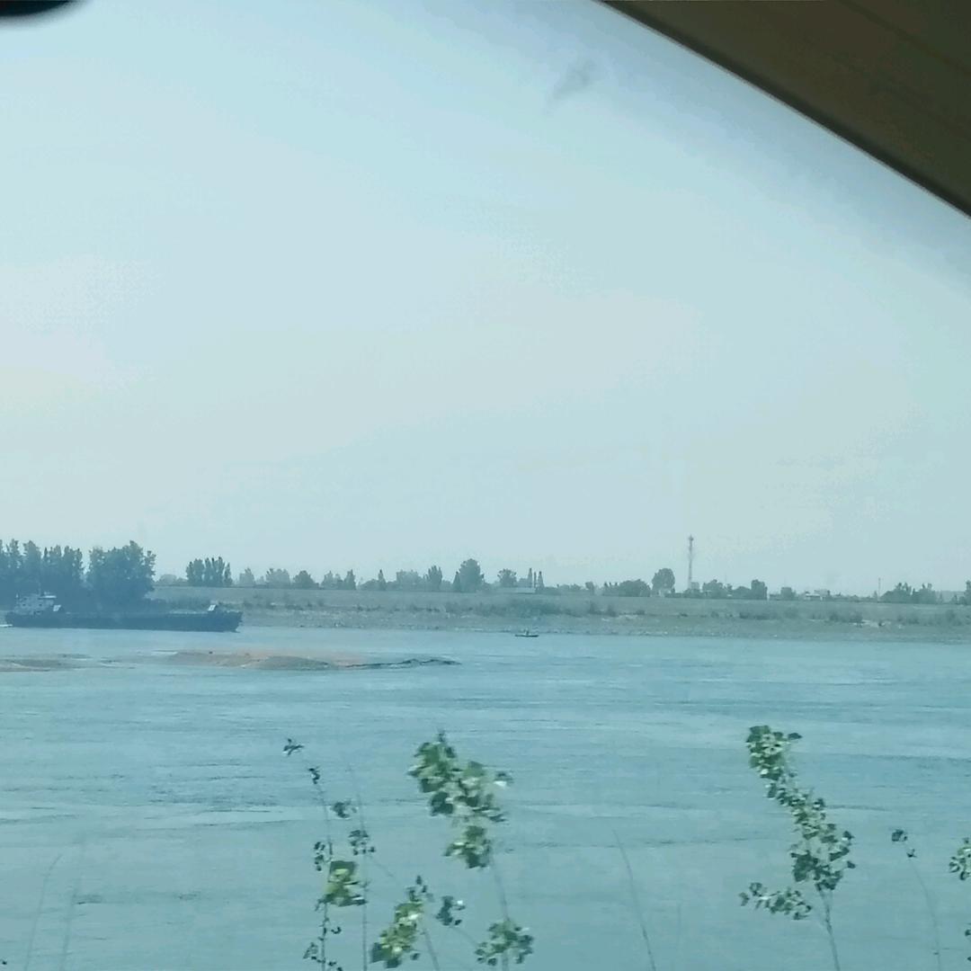佟佟与二哥