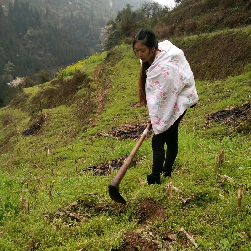 小毛的农村生活
