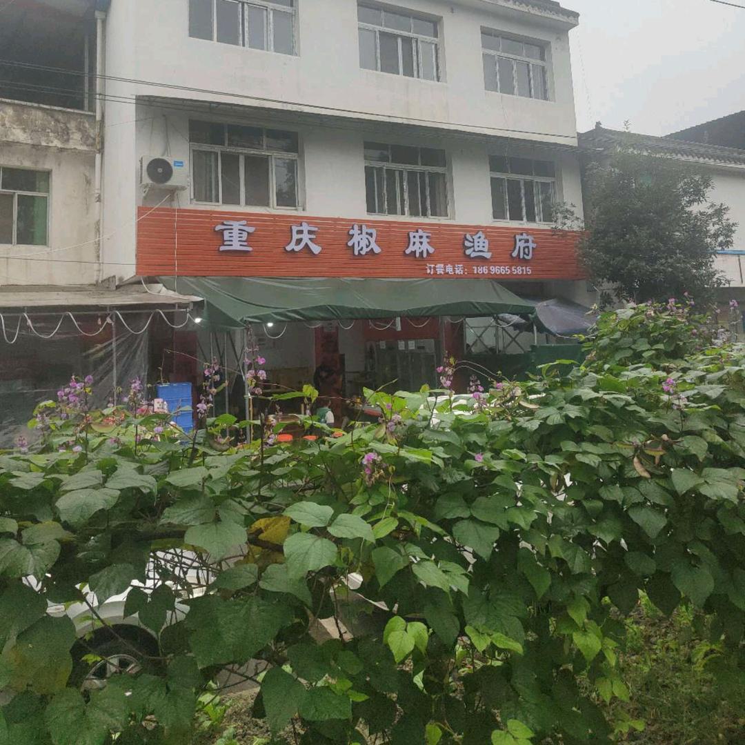 重庆椒麻鱼府官方号