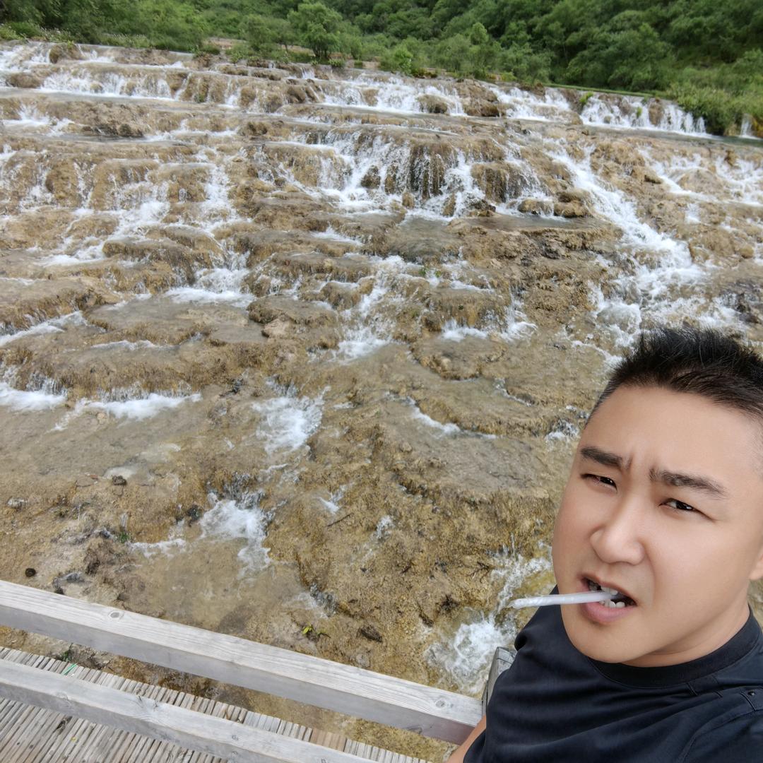 时间树下