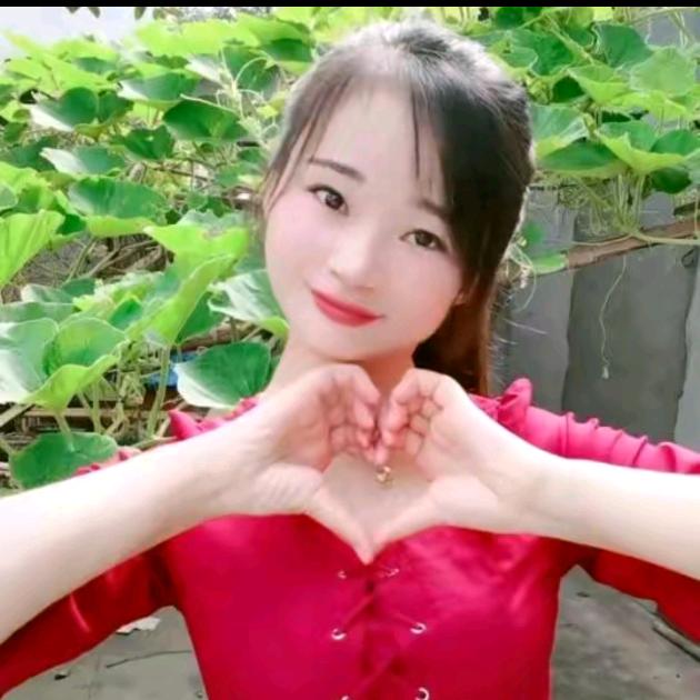 ✨晴宝🍋