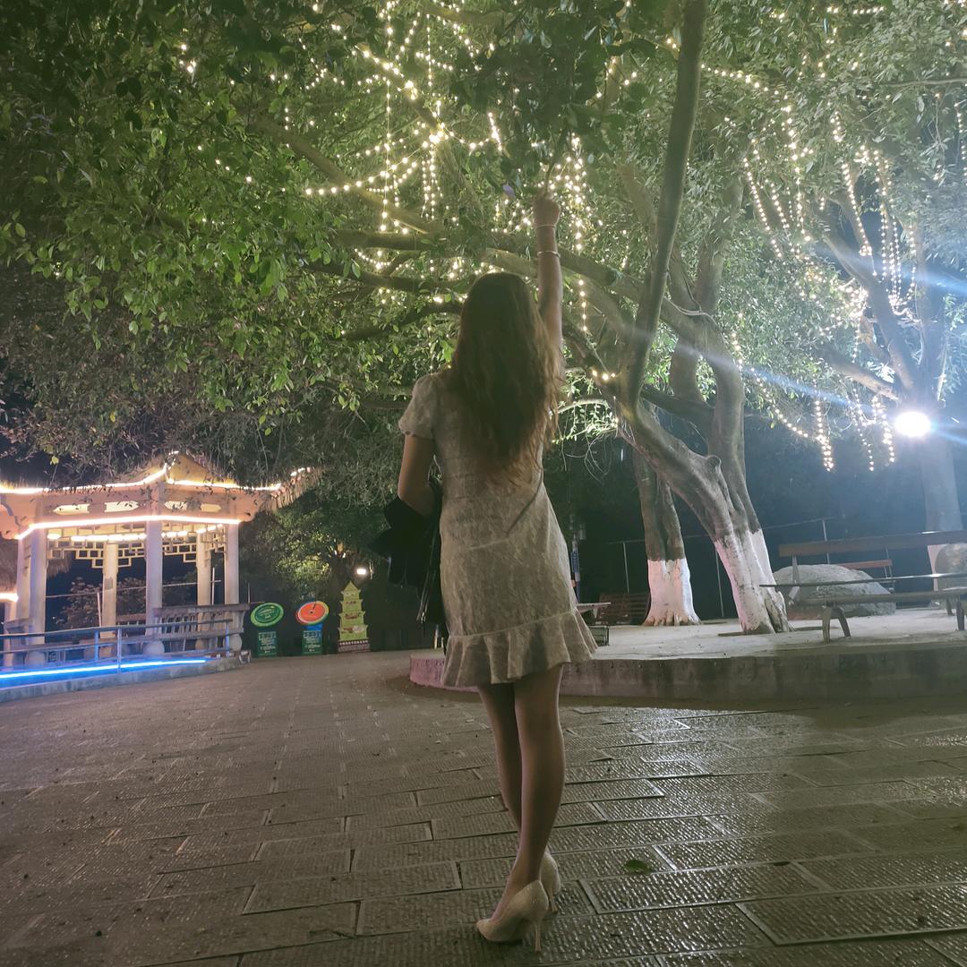 🌹杨老奶🌹