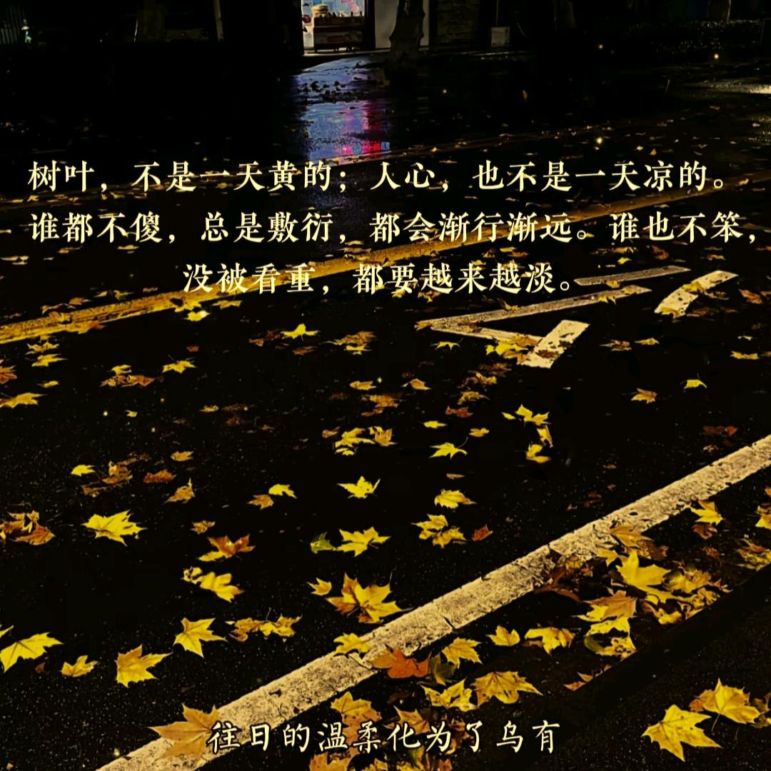 (ಡZωJಡ)