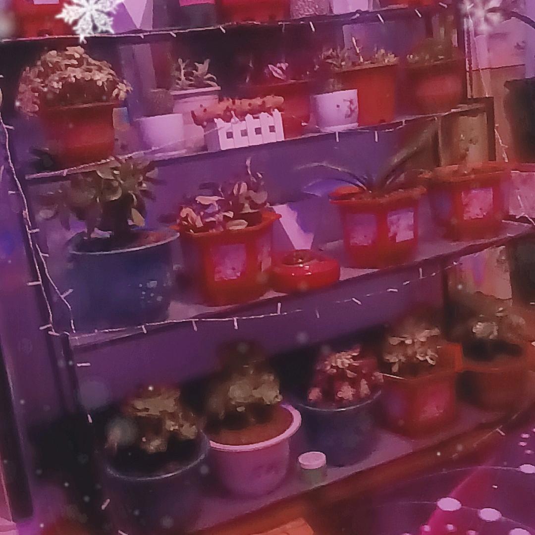 开开心心