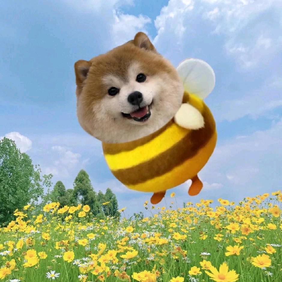 祈雨