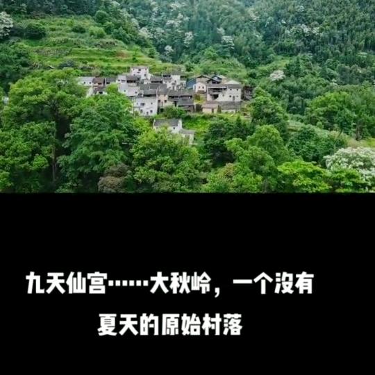 婺源县大秋岭高山辣椒