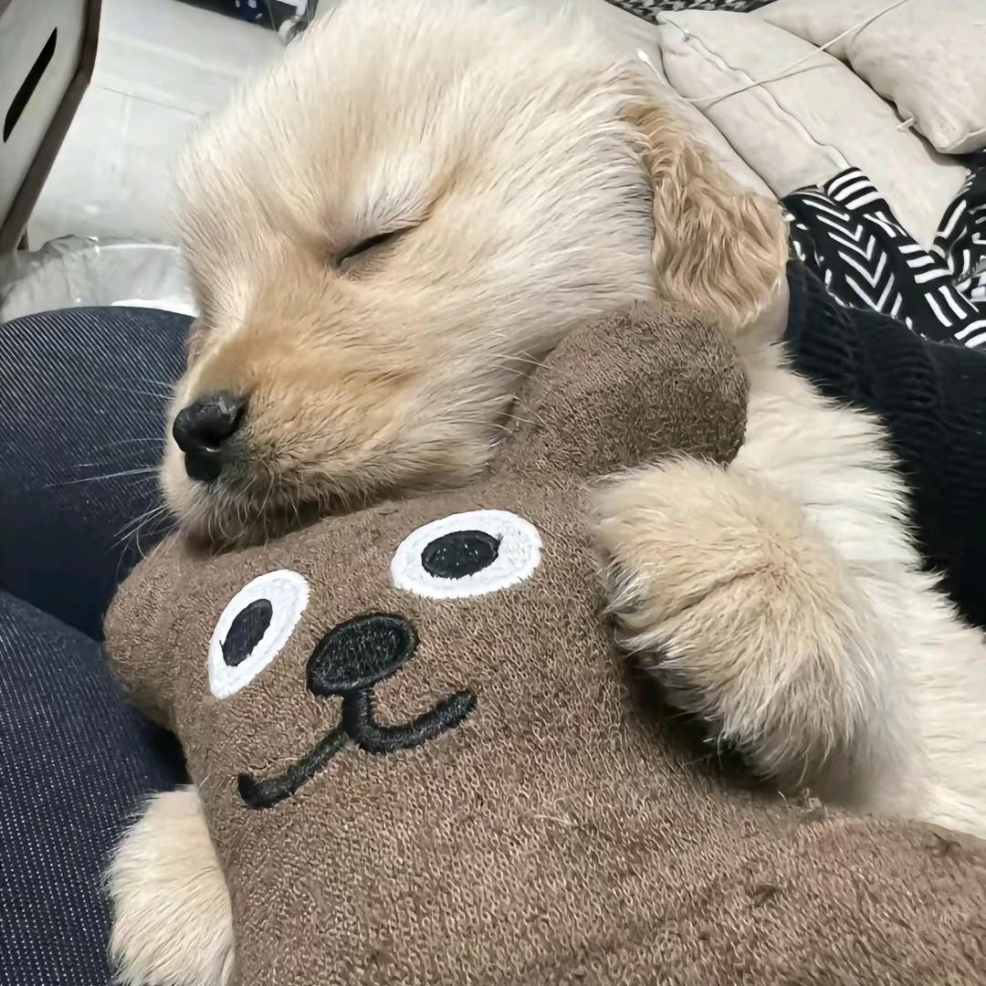 聪聪妈咪⊙ω⊙