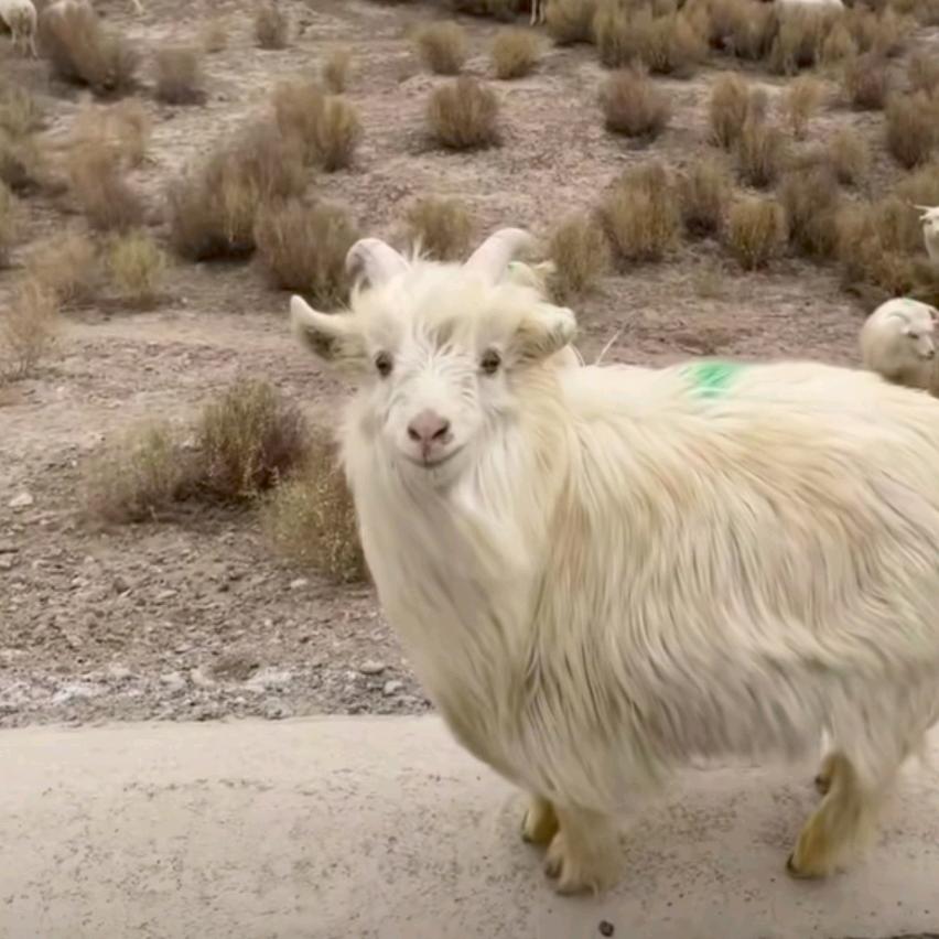 …微辣大冰箱🦸🏻‍♂️