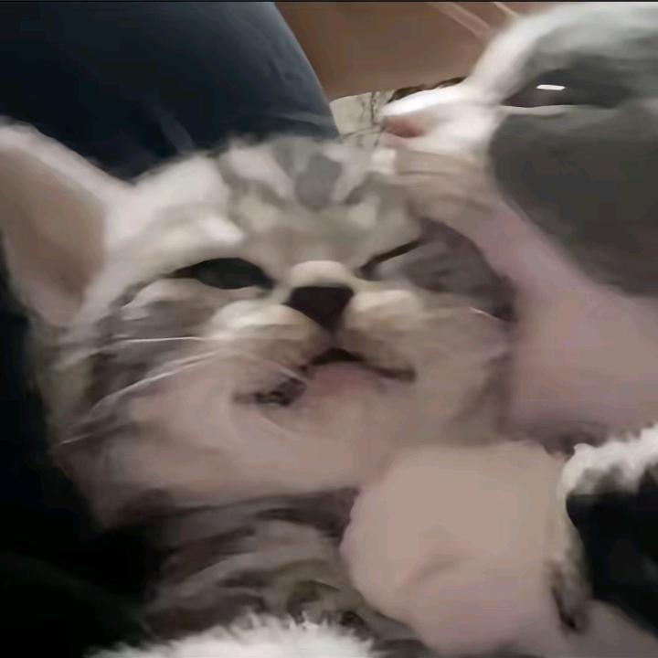 www