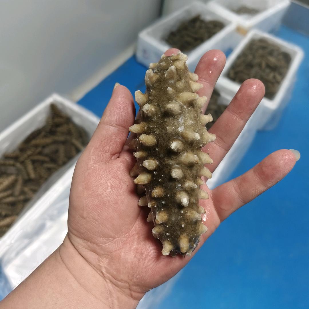 波哥水产