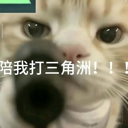 某校小帅（三角洲行动）