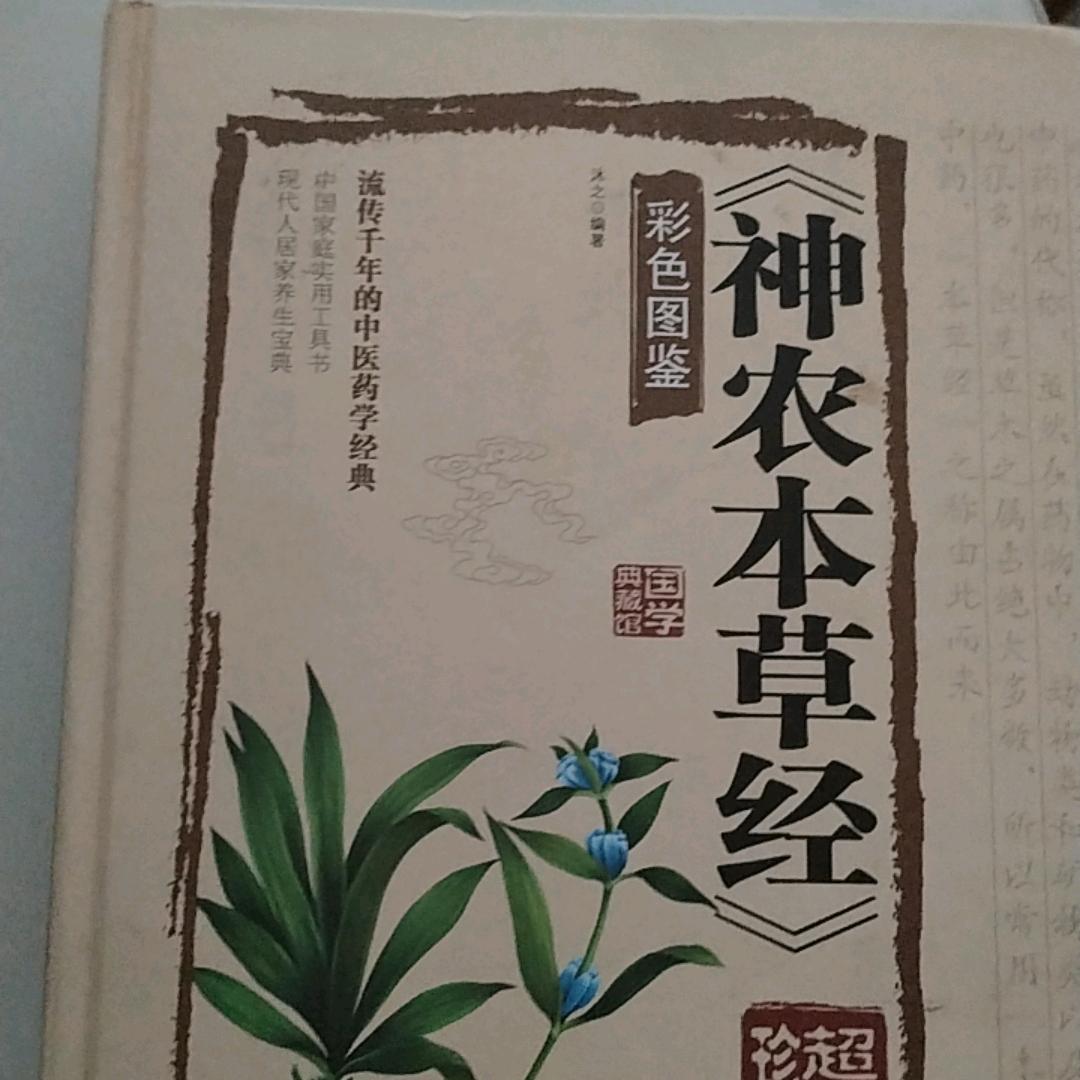 医道归元
