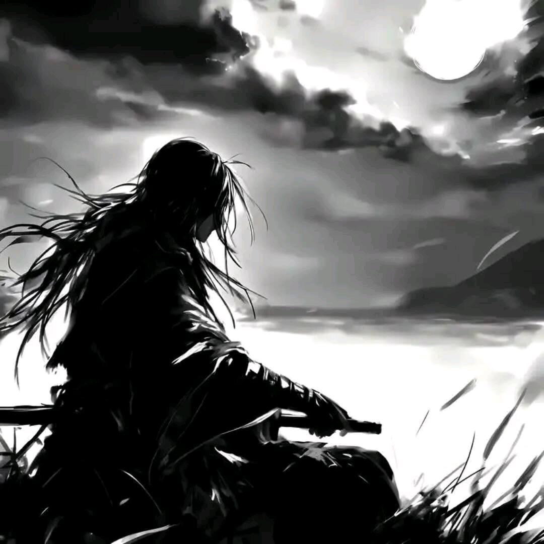 王者荣耀雨（国服打野）