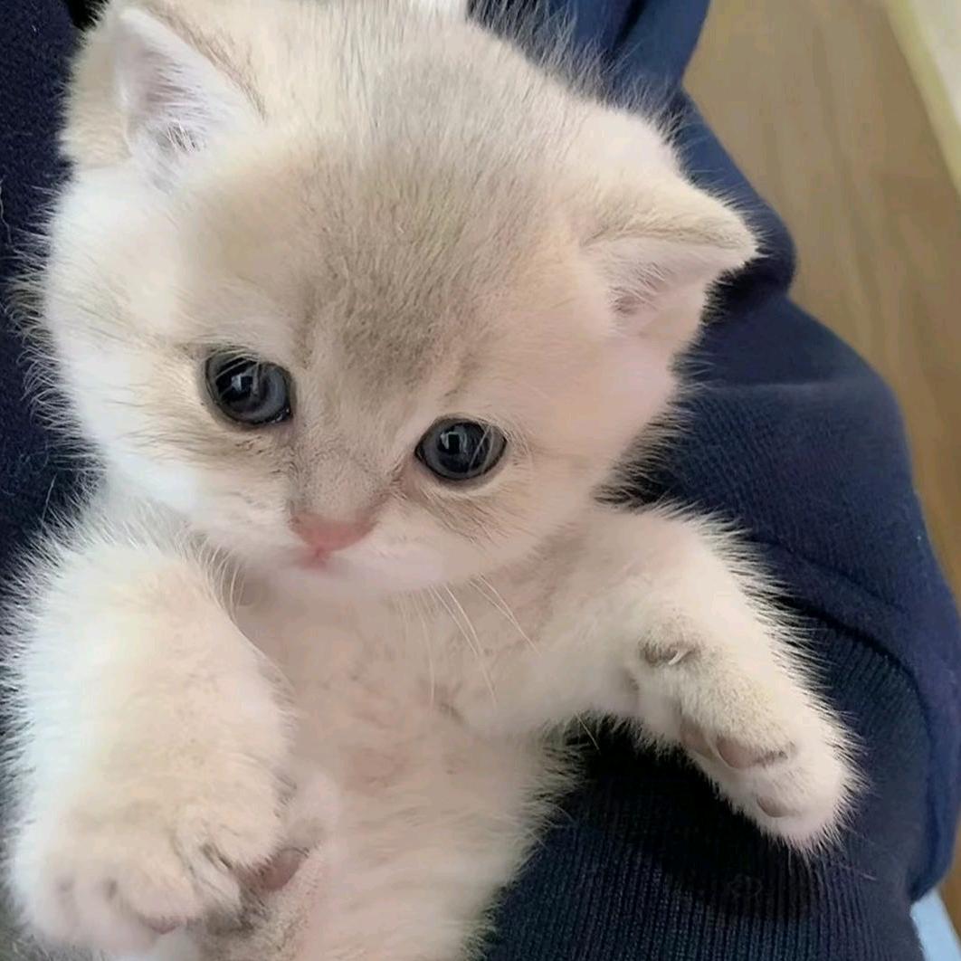 我肯定喜欢丑的