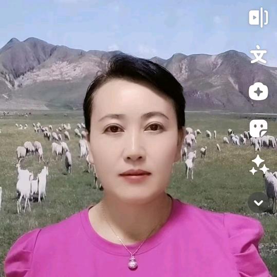 金金好物