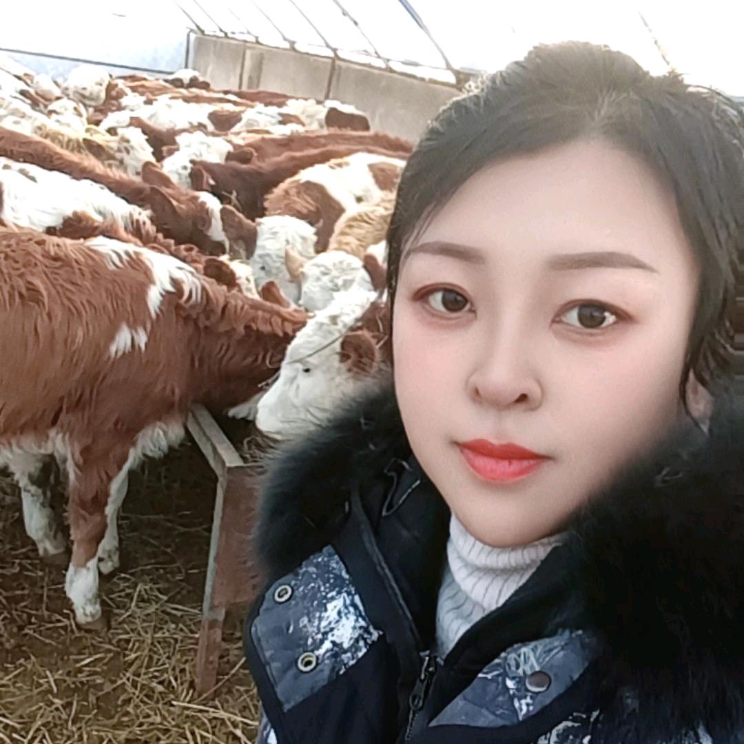 突泉牛中介杨姐