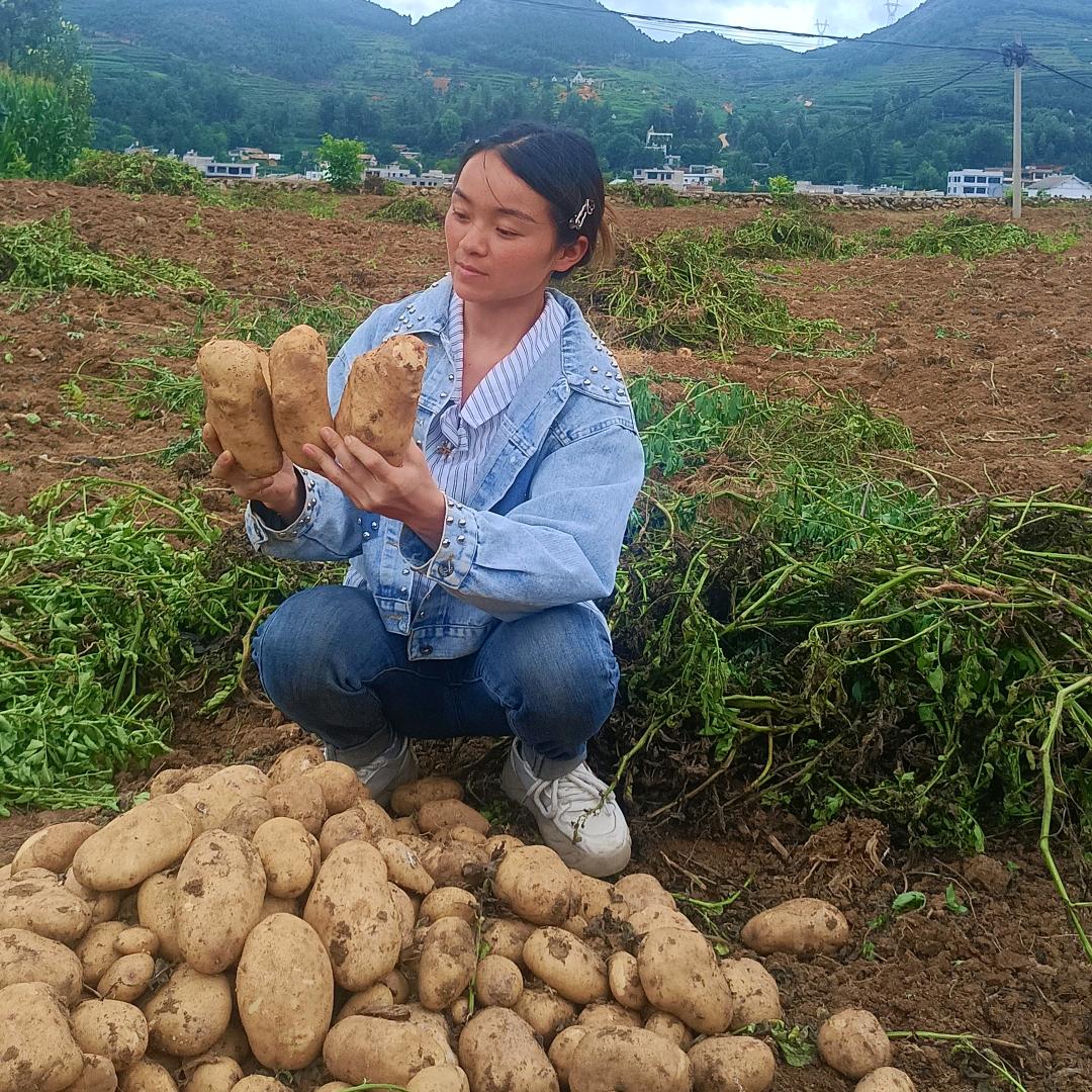 威宁小蒋农产品