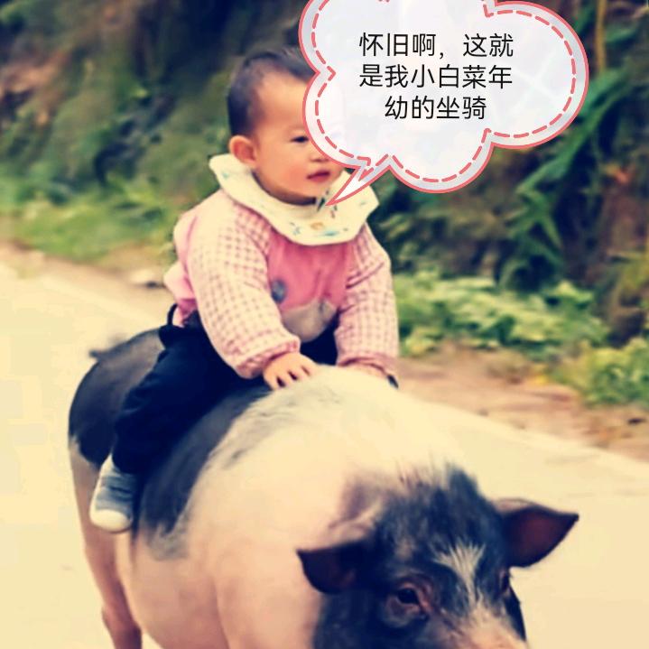 白菜爱钟馗，长的嘟嘟肥