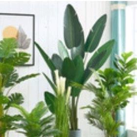 独看夕阳无限好