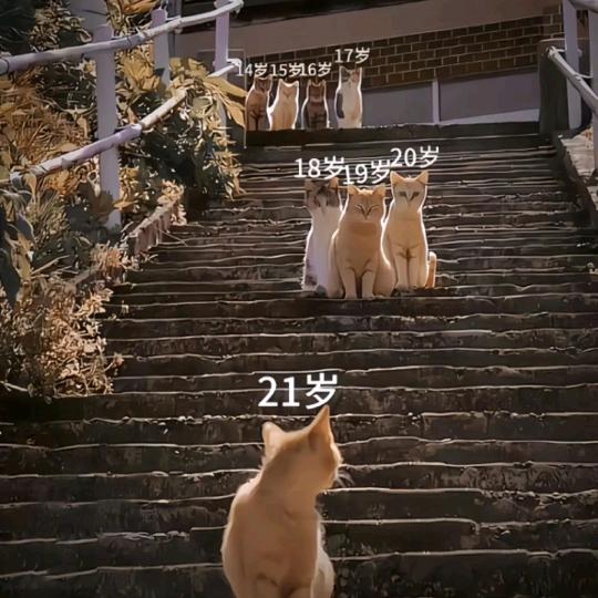 愿无岁月可回头　　　　╲