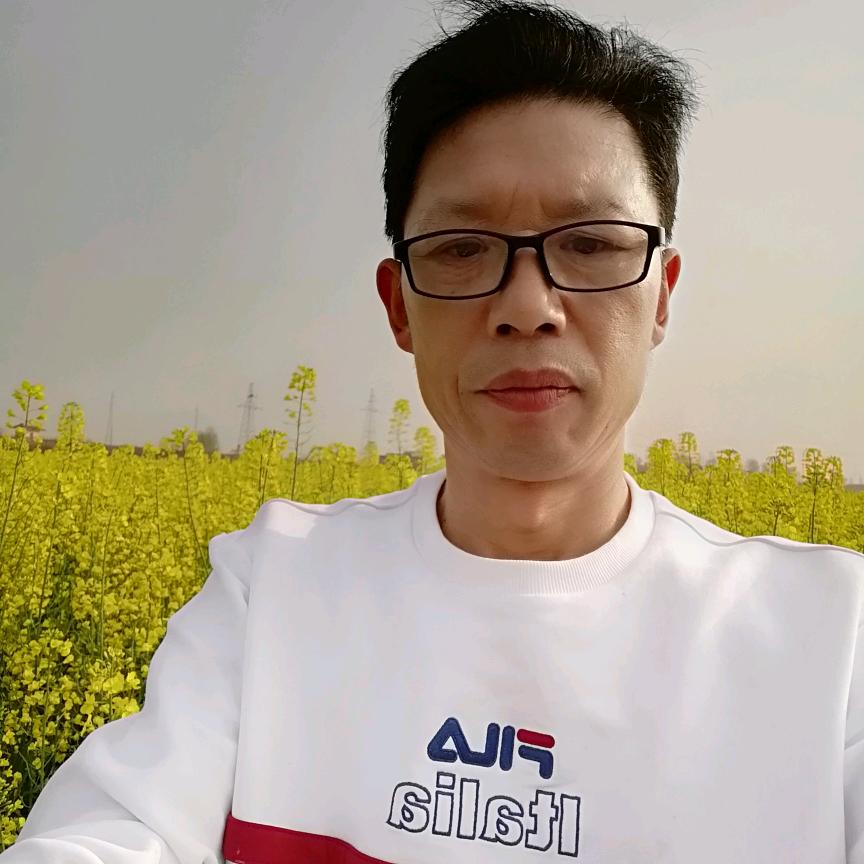 汪哥