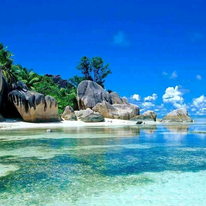 红姐🍎🍎🌸🌸