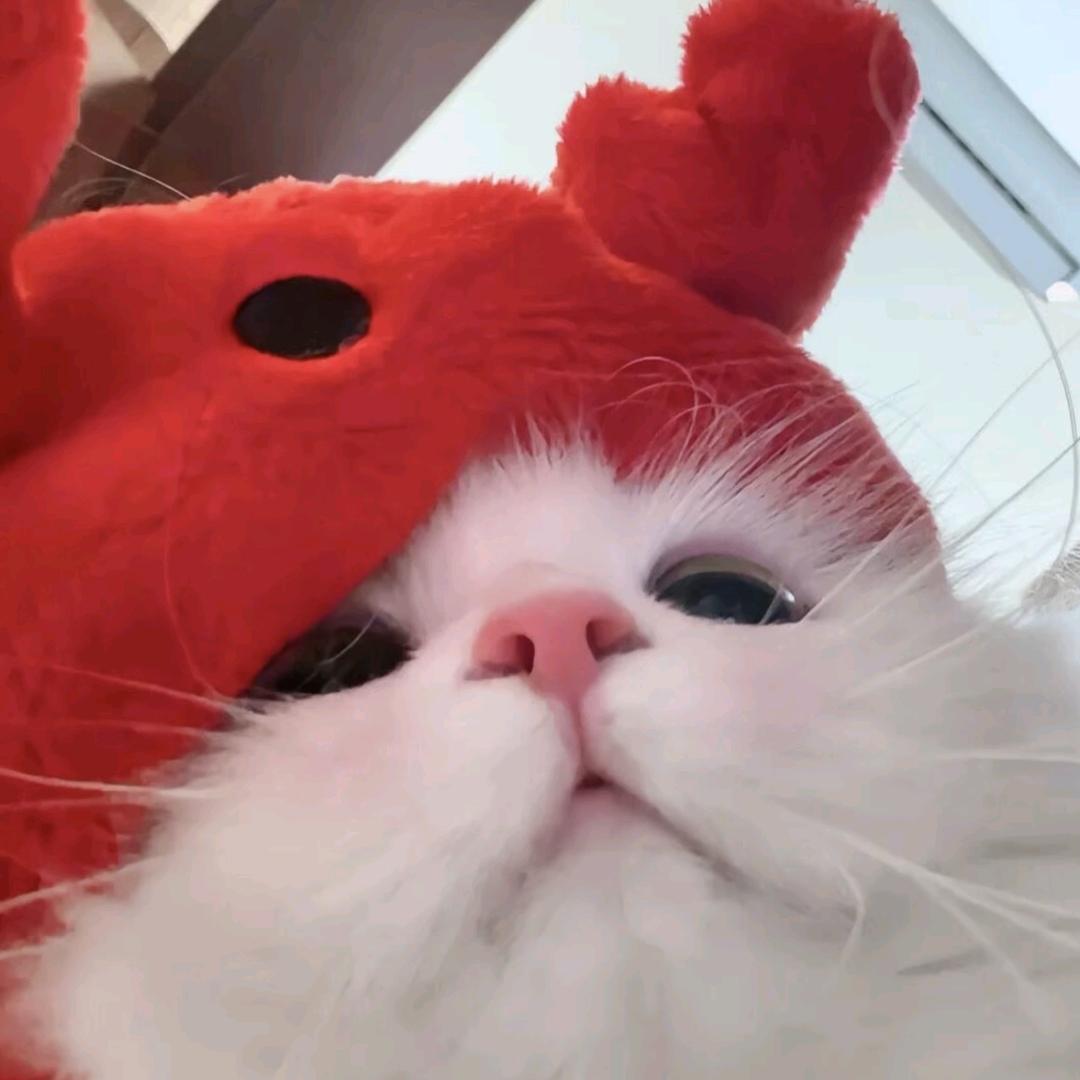 ᵇᵃᵇʸ