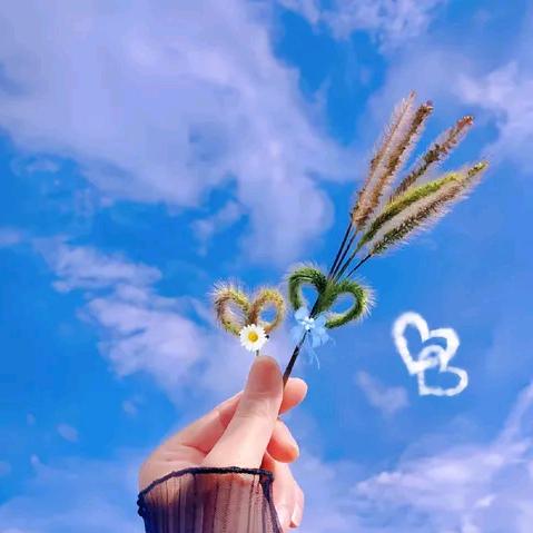 ℳᥫᩣঞৣ余生💞随心℘᭄ᩚ꯭🕊💞ღ