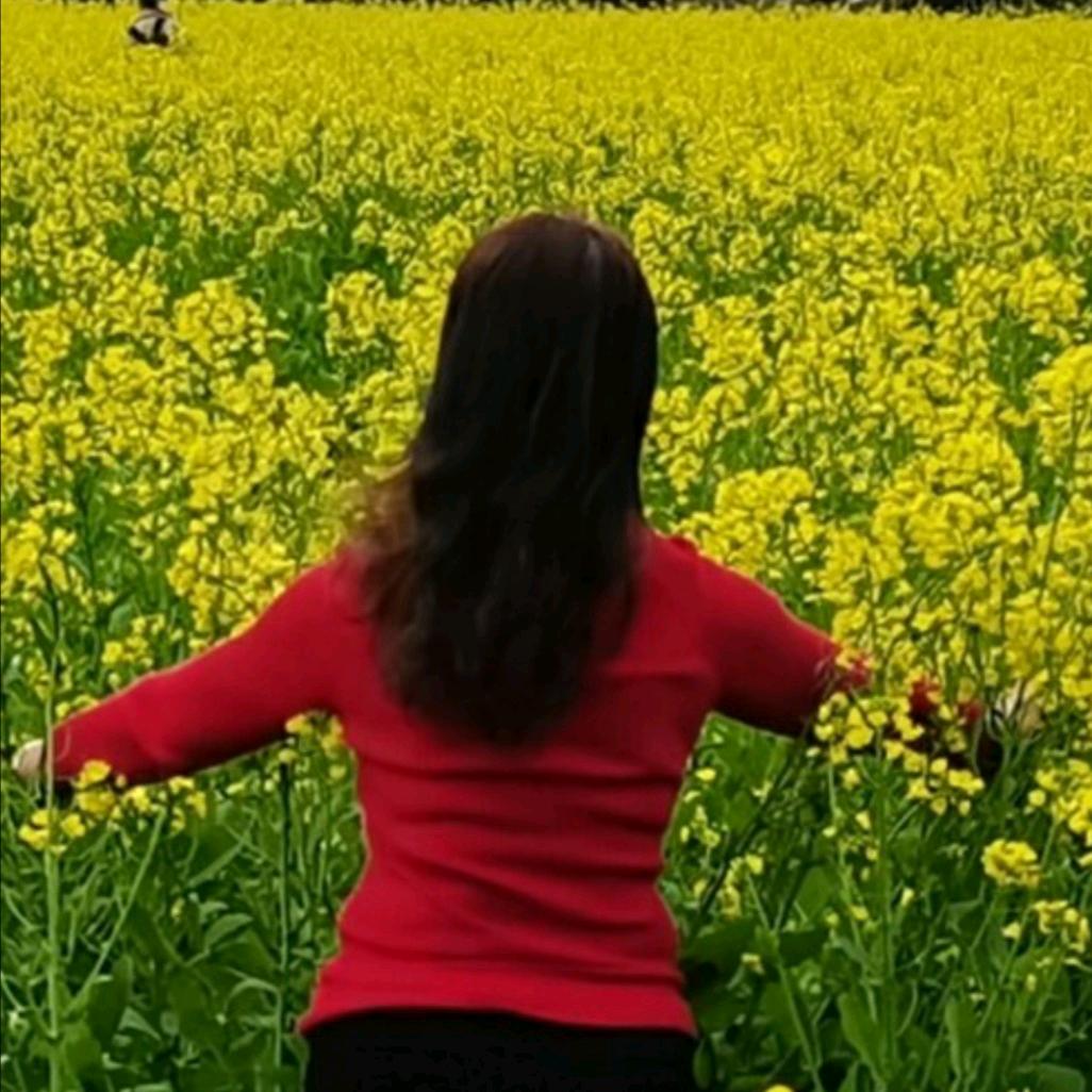 燕晨芳洲