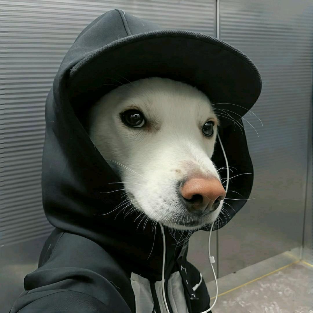 成块的巧克力