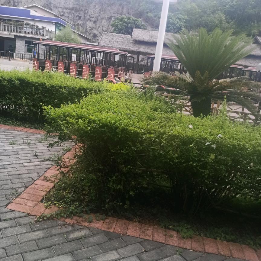 理解人心