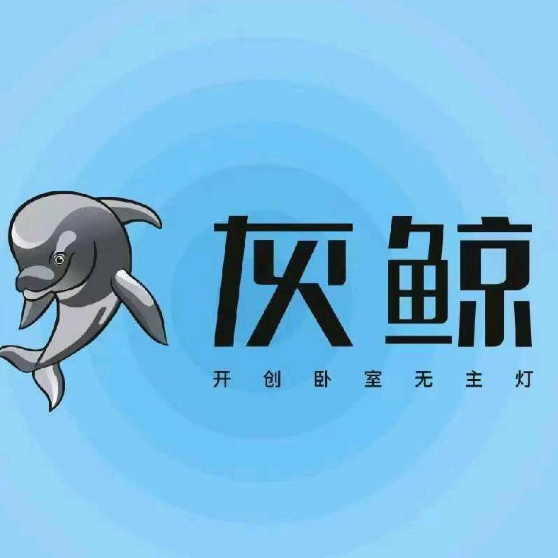 广东小刚照明科技