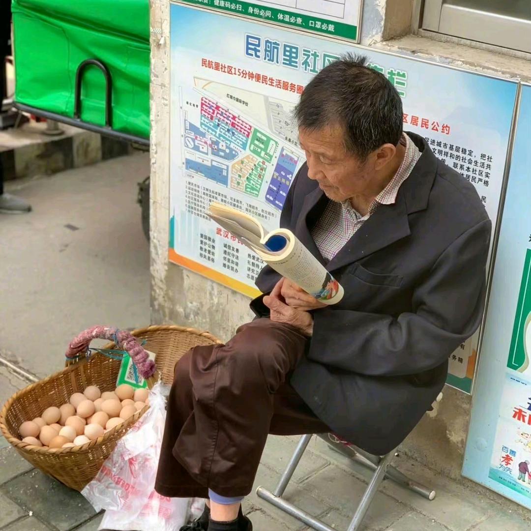 悠悠见南山