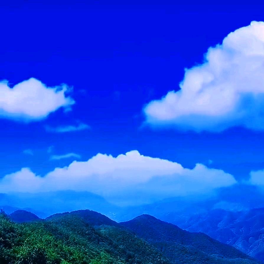 福禄66