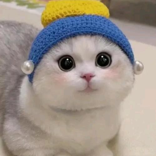 木子♥(｡￫v￩｡)♥